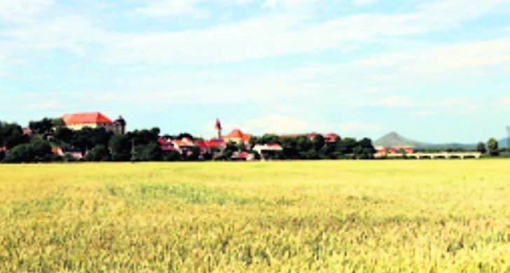 01_foto prty2.jpg